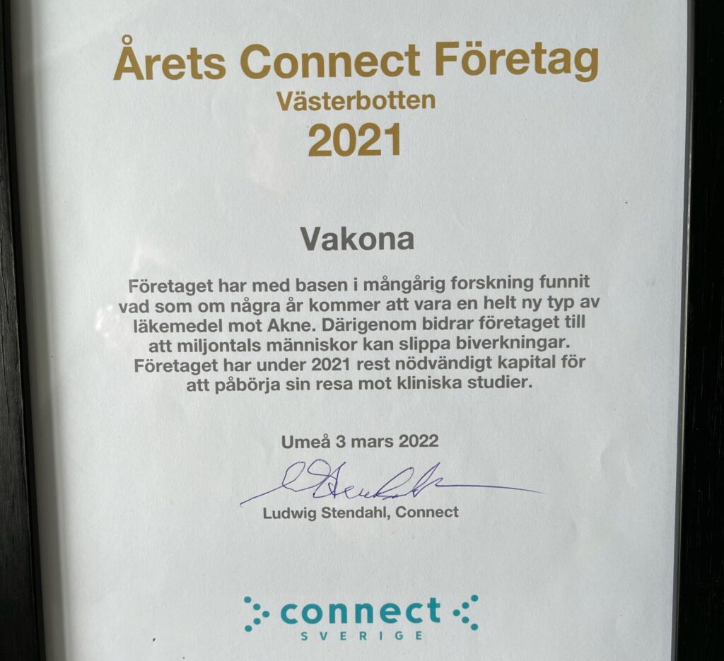 Årets Connectföretag