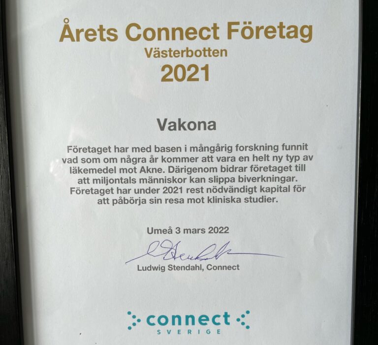 Årets Connectföretag